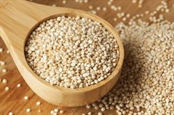 Quinoa 